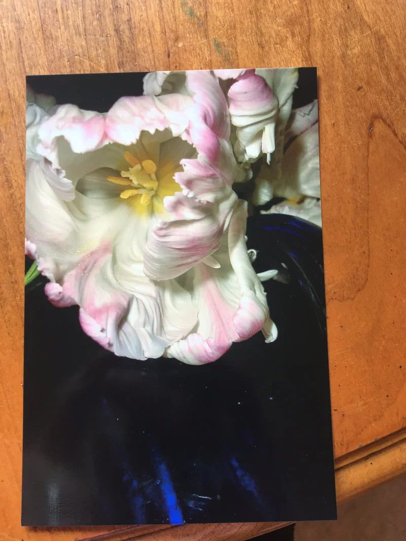 Picture