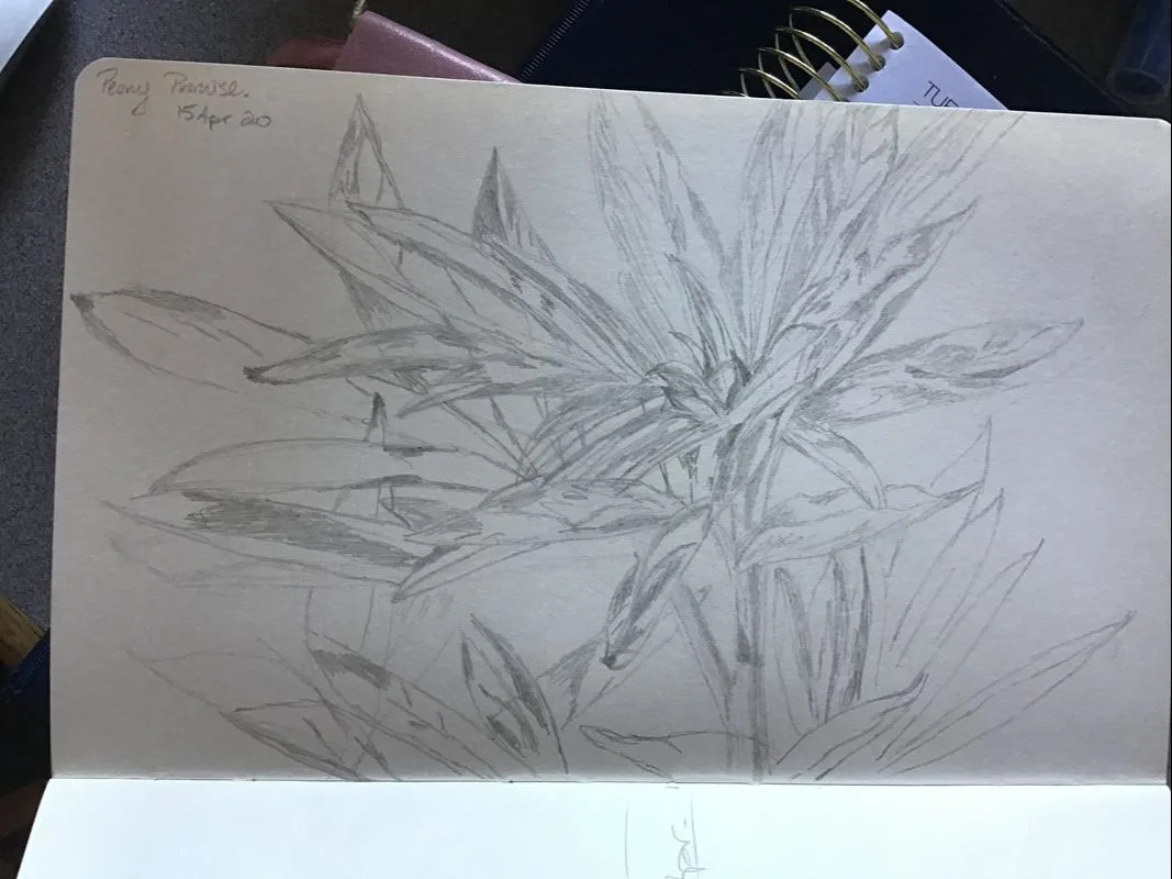 Picture